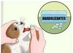 Enlace a Se convirtió en Ana Bolena