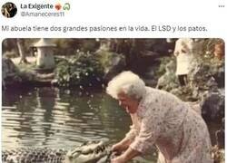 Enlace a Entre eso y las pastis de las SS tiene colocón para una semana. Si sobrevive, claro...