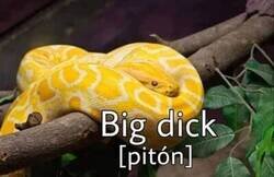 Enlace a Inglés básico