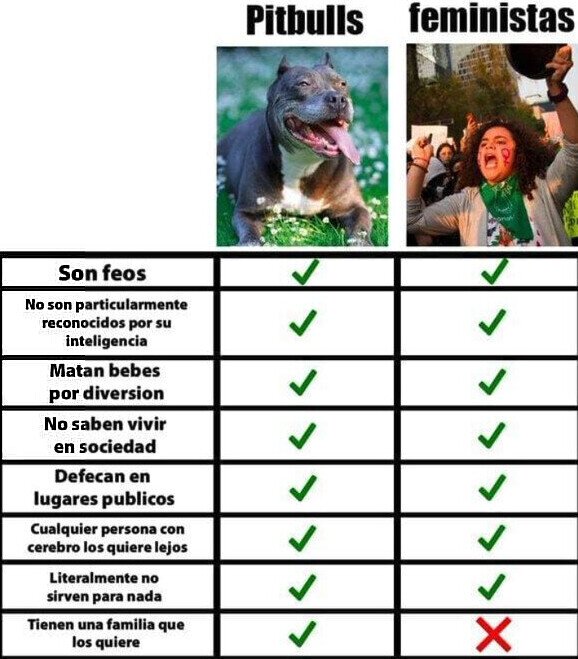 pitbulls,feministas,comparar