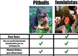 Enlace a Literalmente