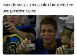 Enlace a Ay, que cosita...