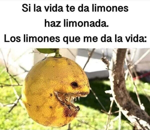 limones,vida,dar,mal