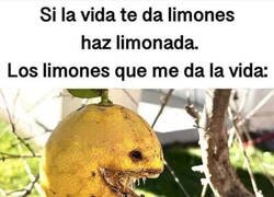Enlace a Limones del haberno