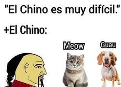 Enlace a No debe ser tan complicado