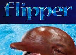 Enlace a Proximamente