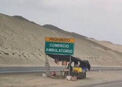 Enlace a Que nadie te diga lo que no puedes hacer