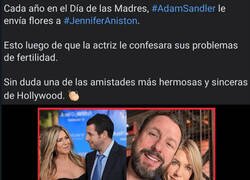 Enlace a No te puede caer mal Adam Sandler