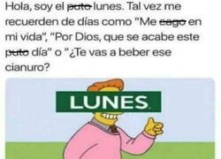Enlace a Ya ha vuelto tu amigo el Lunes