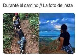 Enlace a Hay mucho sufrimiento detrás