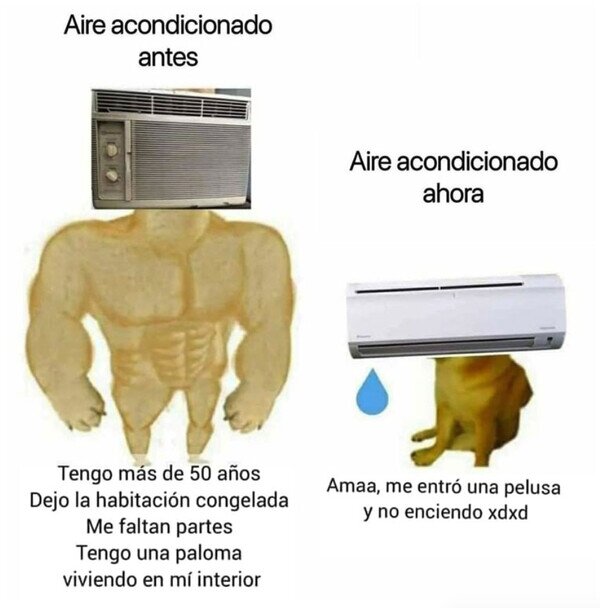 Otros - Recuerda tener el tuyo a punto