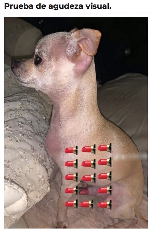 Meme_otros - ¿Cuál es el real?