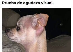 Enlace a ¿Cuál es el real?