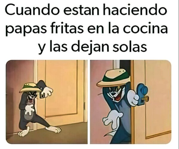 cocina,entrar,patatas,fritas,solas