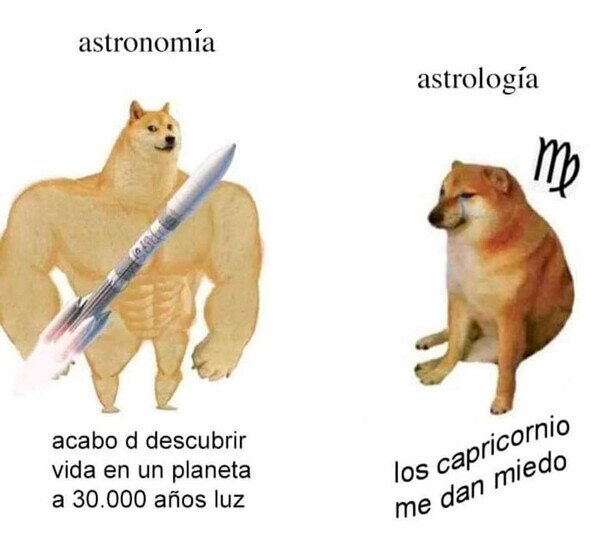 Otros - Aprende a diferenciarlas