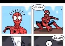 Enlace a Mi sentido rodillácnido