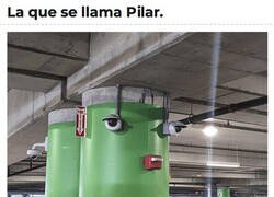 Enlace a Tu amiga la Pili