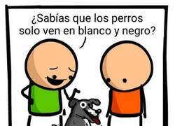 Enlace a Pensé que funcionaría