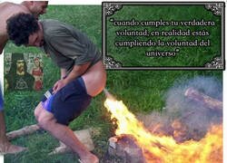 Enlace a El destino lo quiso así