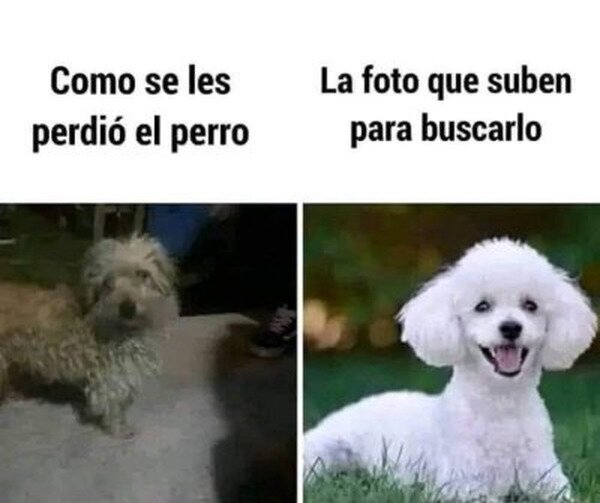 Meme_otros - Eso no ayudará mucho