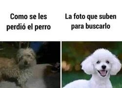 Enlace a Eso no ayudará mucho