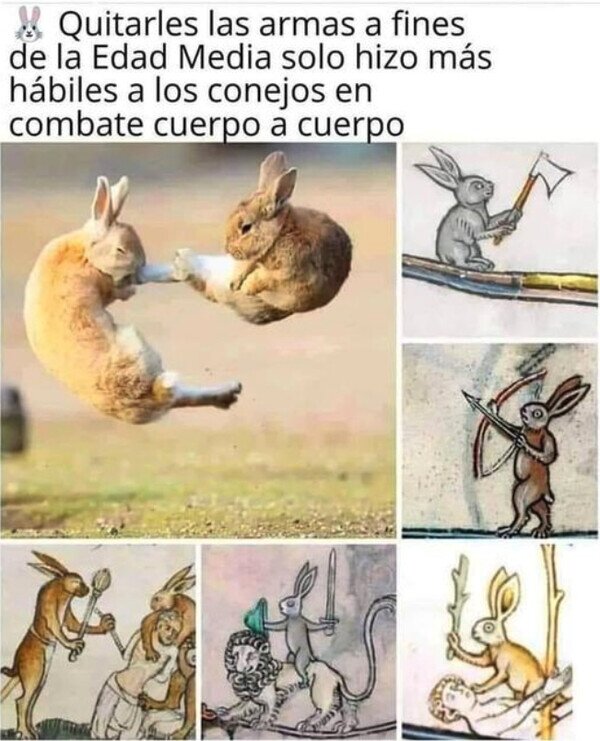 Meme_otros - Cuidado con los conejos
