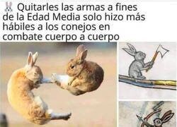 Enlace a Cuidado con los conejos
