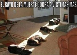 Enlace a Terrible desgracia