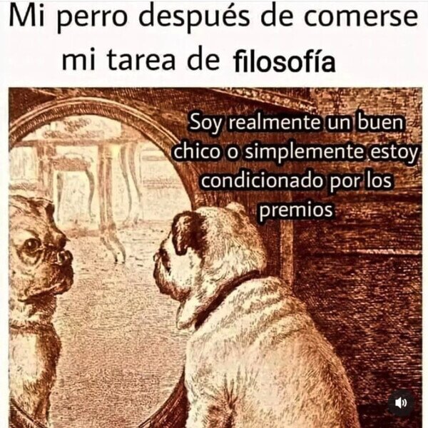 Meme_otros - Perro con inquietudes