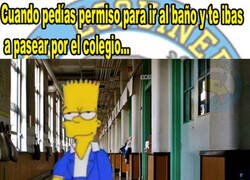 Enlace a Paseo libre