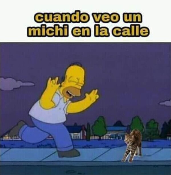 Meme_otros - No puedo resistirme