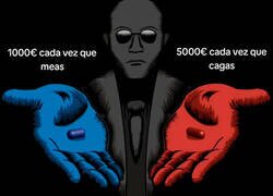 Enlace a ¿Qué eligirías?