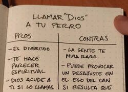 Enlace a ¿Es buena idea llamar 'Dios' a tu perro?