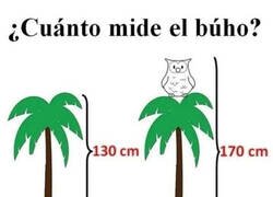 Enlace a A darle un poco al coco