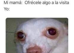 Enlace a Mi más sincera ofrenda