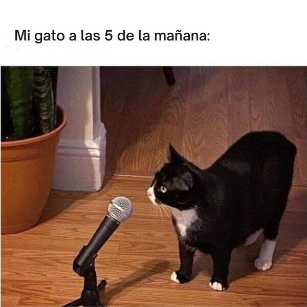 Otros - El momento de decir la suya