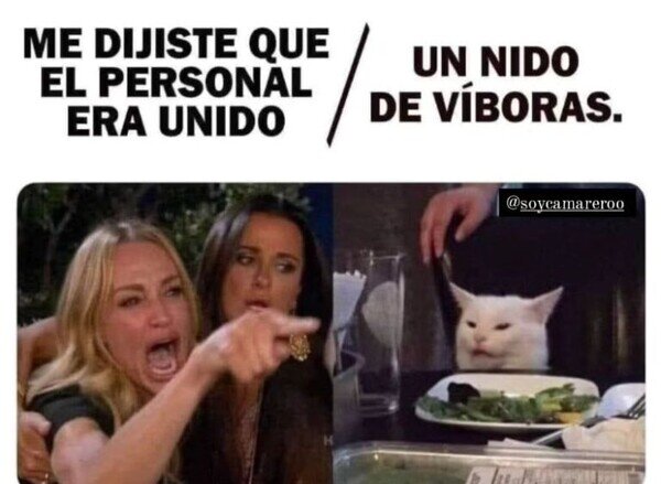 grupo,unido,nido,víboras