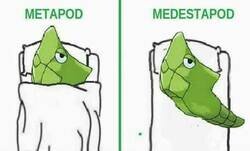 Enlace a La tontería del día