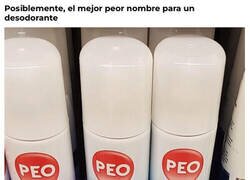 Enlace a ¿A qué debe oler?