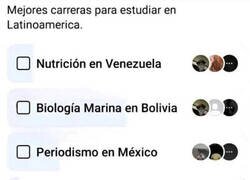 Enlace a ¿Qué carrera es mejor?