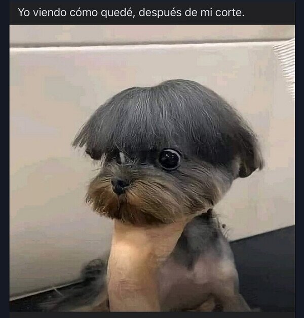 Meme_otros - Iban a ser solo las puntas