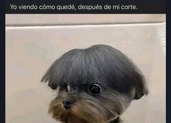 Enlace a Iban a ser solo las puntas