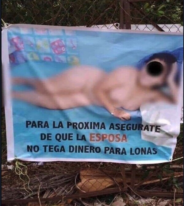 Meme_otros - Consejo de ex