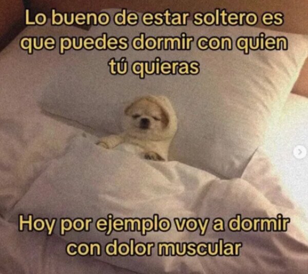 Meme_otros - Dormir con quien quieras