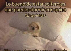 Enlace a Dormir con quien quieras