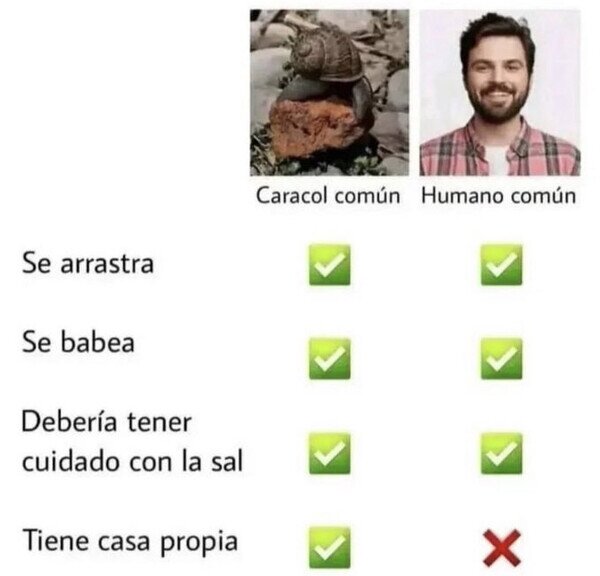 Meme_otros - No somos superiores ni a los caracoles