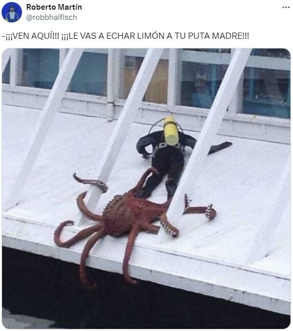 Meme_otros - La rebelión de los cefaIópodos