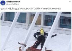 Enlace a La rebelión de los cefaIópodos