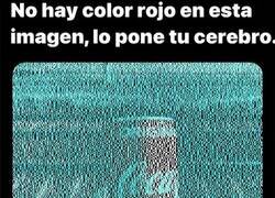 Enlace a Nuestros ojos nos engañan