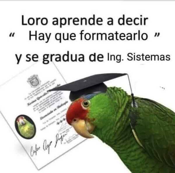 Meme_otros - ¡Enhorabuena!